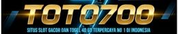 TOTO700